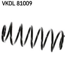 SKF VKDL 81009